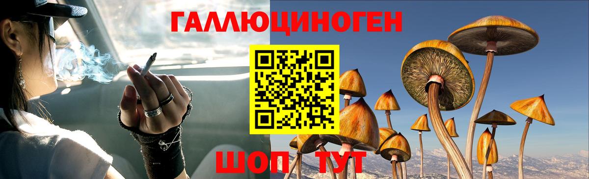 Галлюциногенные грибы Cubensis Гурьевск